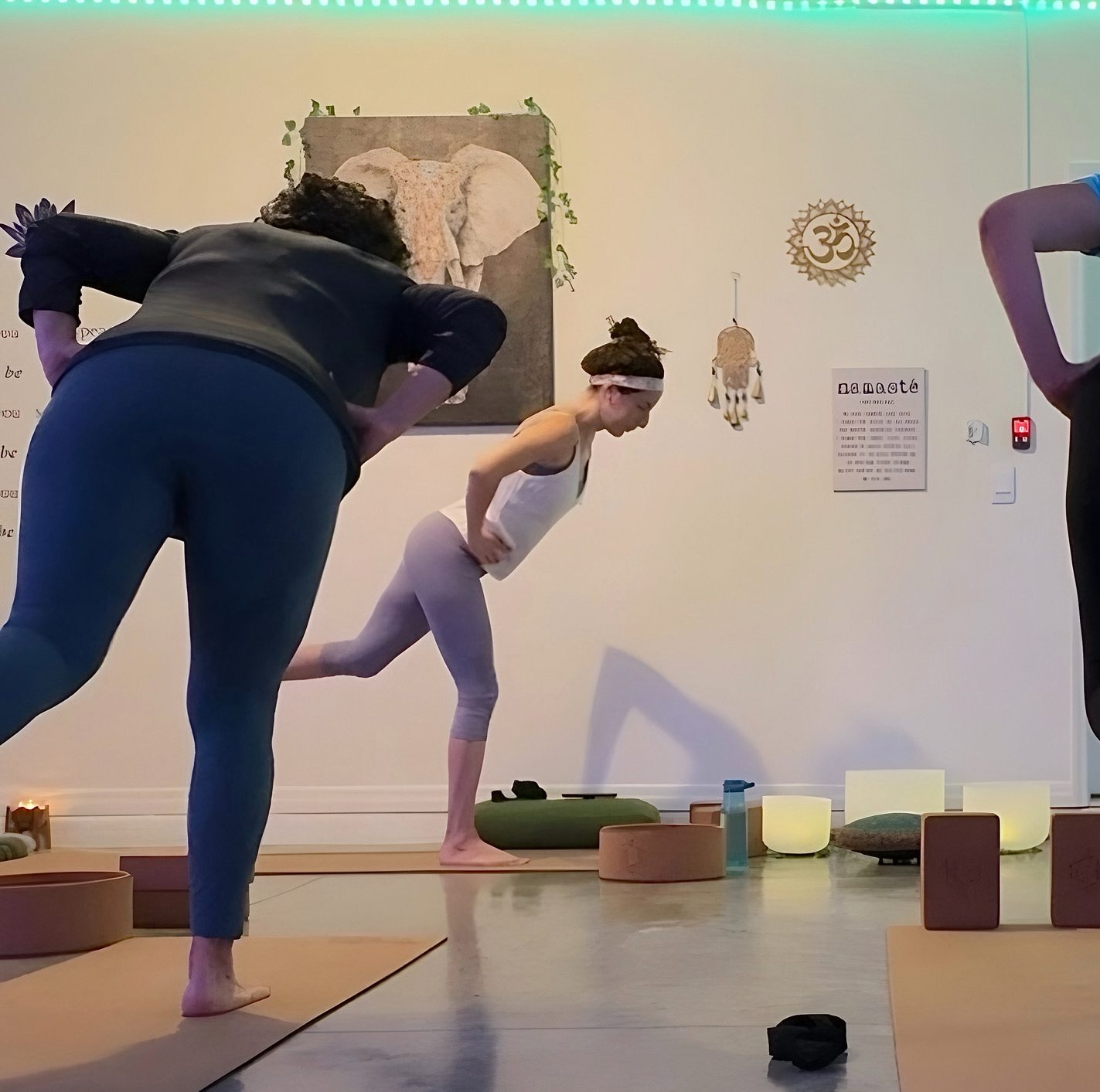 hatha yoga classes nathaly van der biest yoga con nathaly instructora de yoga masajes ayurvedicos YCN ayurveda